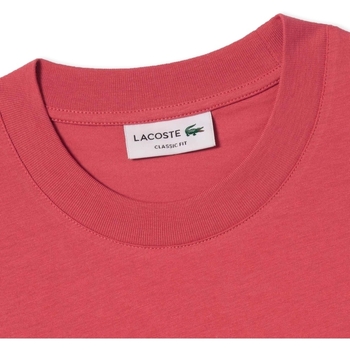 Lacoste T-Shirt Classic Fit - Rose ZV9 Rosa