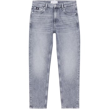 Textil Homem Calças Jeans halve Calvin Klein Jeans J30J324837 Cinza