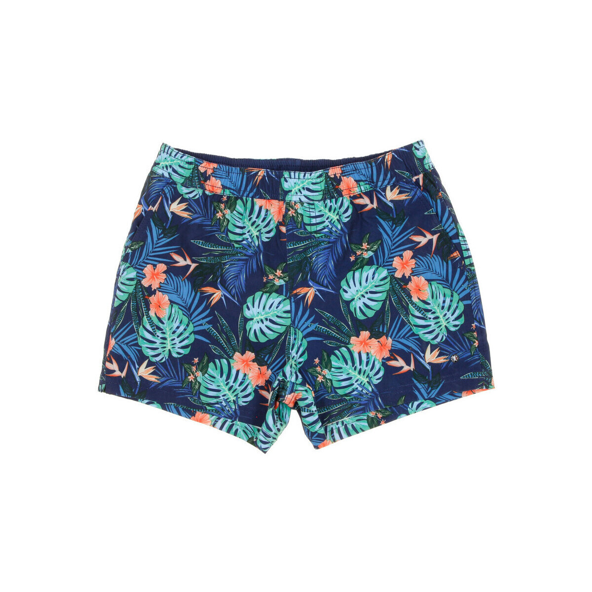 Textil Rapaz ltlich Shorts / Bermudas Teddy Smith  Azul