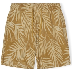 Textil Homem Shorts / Bermudas Revolution Calções Terry - Khaki Bege