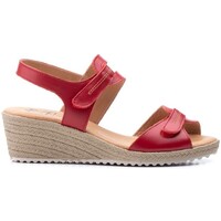 Sapatos Mulher Sandálias Cbp - Conbuenpie Sandálias de cunha em pele vermelha da CBP Vermelho