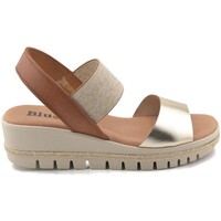 Sapatos Mulher Sandálias Blusandal Sandálias de couro douradas da Ouro