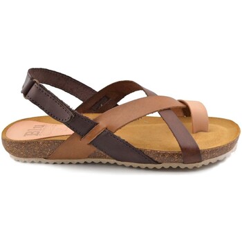 Sapatos Mulher Sandálias Blusandal Sandálias Bio Leather castanhas da Multicolor