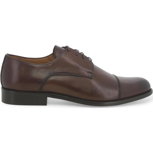 Sapatos Homem Richelieu Melluso U90602W-237403 Castanho