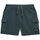Textil Homem Shorts / Bermudas Munich Bermuda camp Cinza