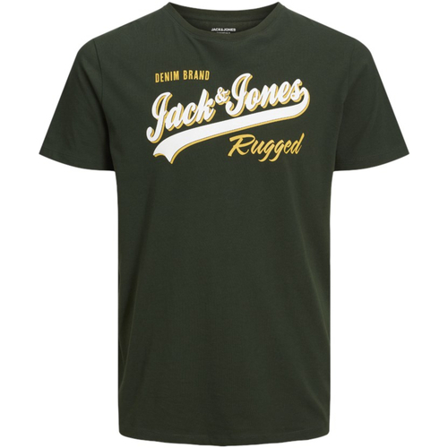 Textil Rapaz T-Shirt mangas curtas Jack & Jones 12237367 JJELOGO TEE SS NECK 2 COL 23/24 NOOS JNR MOUNTAIN VIEW Verde