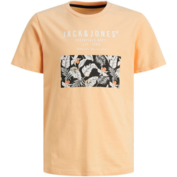 Textil Rapaz T-Shirt mangas curtas Jack & Jones 12249859 JJCHILL SHAPE TEE SS CREW NECK JNR APRICOT Laranja