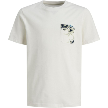 Textil Rapaz T-Shirt mangas curtas Jarras e vasos 12250079 JJCHILL POCKET TEE SS JNR CLOUD DANCER Branco