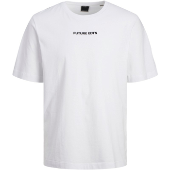 Textil Homem T-Shirt mangas curtas Jack & Jones 12253378 JCOSTAGGER TEE SS CREW NECK WHITE Branco
