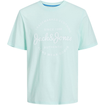Jack & Jones 12247972 JJFOREST TEE SS CREW NECK SOOTHING SEA Azul