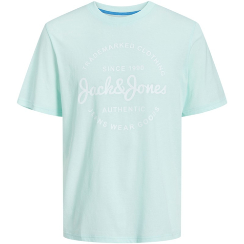 Textil Homem T-Shirt mangas curtas Jack & Jones 12247972 JJFOREST TEE SS CREW NECK SOOTHING SEA Azul