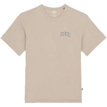 Dickies AITKIN CHEST TEE Bege