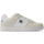 Sapatos Sapatilhas DC Shoes MANTECA SE | OFF WHITE Branco