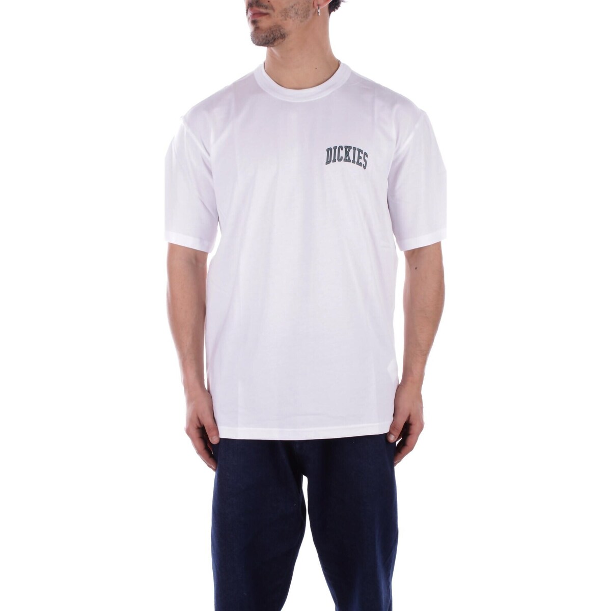 Textil Homem T-Shirt mangas curtas Dickies DK0A4Y8O Branco