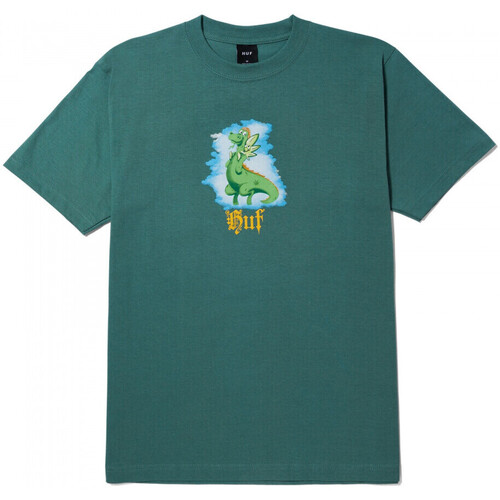 Textil Homem T-shirts e Pólos Huf T-shirt fairy tale ss Verde