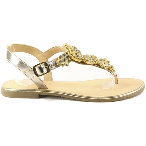 Sapatos Mulher Sandálias Parodi Sunshine Shoes  Gold - 53/1746/01 41