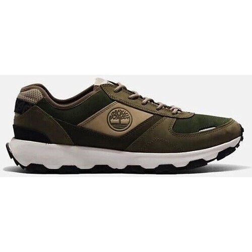 Sapatos Homem Sapatilhas Timberland WINSOR PARK Verde