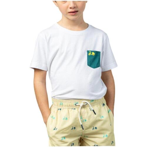 Textil Rapaz T-Shirt mangas curtas Scotta  Branco