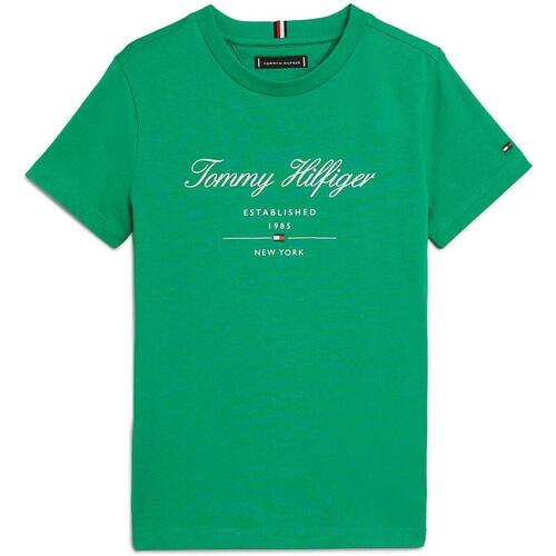 Textil Rapaz T-shirts e Pólos gwen tommy Hilfiger  Verde