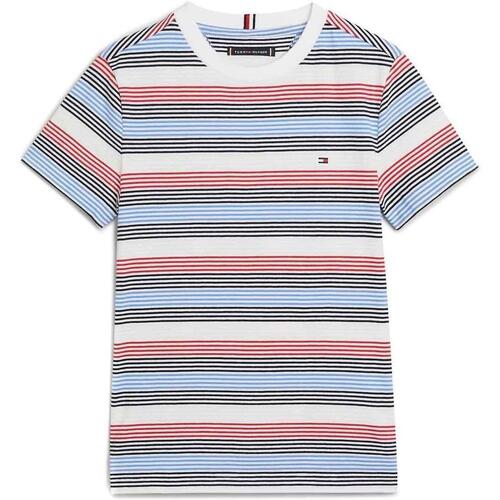 Textil Rapaz T-shirts e Pólos 0GY Tommy Hilfiger  Multicolor