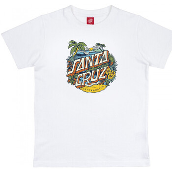 Textil Criança T-shirts e Pólos Santa Cruz Youth aloha dot front Branco