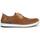 Sapatos Homem Sapatos & Richelieu Fluchos F1923 Castanho