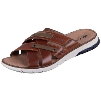 Sapatos Homem Chinelos Rieker 2529224 Castanho