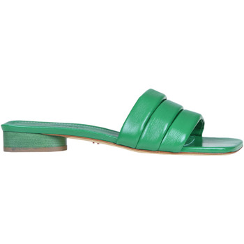 Sapatos Mulher Sapatos & Richelieu Halmanera CAB00003050AE Verde
