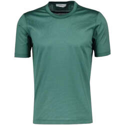 Textil Homem T-shirts e Pólos Gran Sasso  Verde