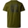 Textil Homem T-shirts e Pólos The North Face T-Shirt Redbox Celebration - Forest Olive Verde