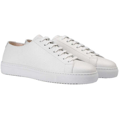 Doucal's  Branco