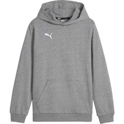 Textil Homem Sweats Puma B23599 Cinza
