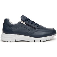 Sapatos Homem Sapatilhas NeroGiardini DOLLARINO BLU E400182U Azul