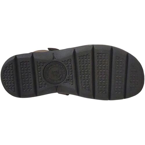 Panama Jack Sanders basics Castanho