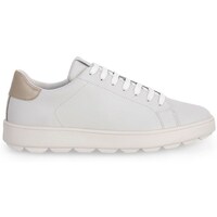 Sapatos Mulher Sapatilhas Geox Spherica Branco