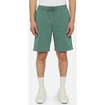 Textil Homem Shorts / Bermudas Dickies Mapleton short Verde