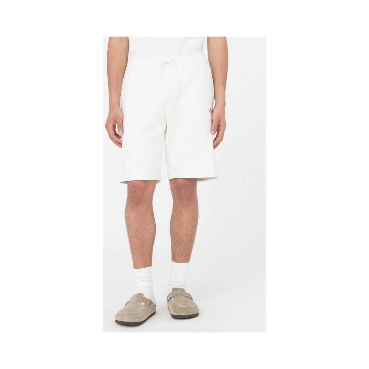 Textil Homem Shorts / Bermudas Dickies Mapleton short Bege