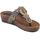 Sapatos Mulher Chinelos Cinzia Soft IT1017 Brown Castanho