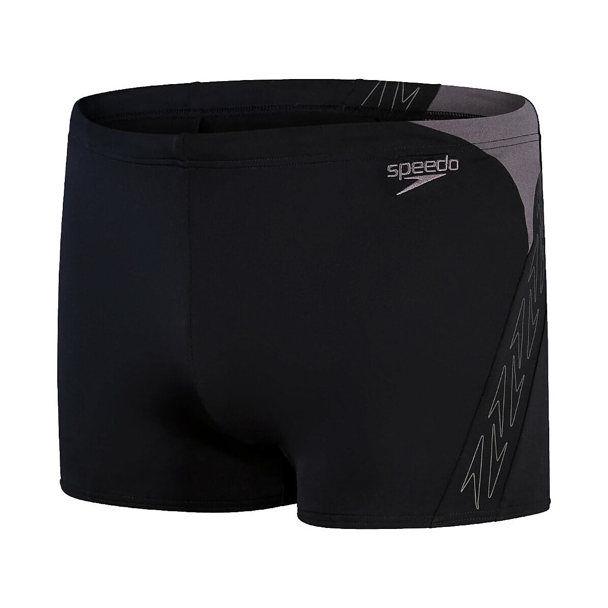 Textil Homem Fatos e shorts de banho Speedo 8-0030201 Preto
