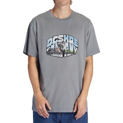Textil Homem T-Shirt mangas curtas DC Shoes 34935377790 Cinza
