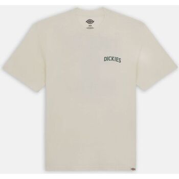 Textil Homem FIVE CM T-Shirts & Vests Dickies ELLISTON TEE DK0A4YRM-CLOUD Bege