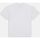 Textil Homem T-shirts e Pólos Dickies ENTERPRISE TEE DK0A4YRN-WHX WHITE Branco