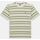 Textil Homem T-shirts e Pólos Dickies GLADE SPRING DK0A4YR1-J42 STRIPE CLOUD Bege