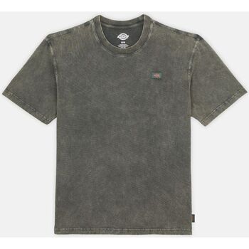 Textil Homem FIVE CM T-Shirts & Vests Dickies NEWINGTON TEE DK0A4YRO-H66 DBLE DYE/ACID WASH CLOUD 