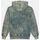 Textil Homem Sweats Dickies NEWINGTON HOODIE Exclusive DBLE  DK0A4YYO-H66 DBLE DYE/ACID WASH CLOUD Verde