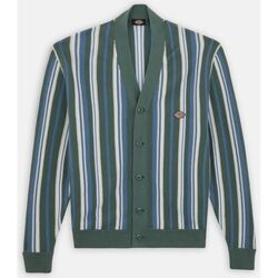 Textil Homem camisolas Dickies GLADE SPRING DK0A4YSQ-H68 Verde