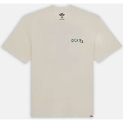 Textil Homem T-shirts e Pólos Dickies ELLISTON TEE DK0A4YRM-CLOUD Bege
