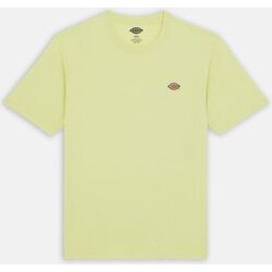 Textil Homem T-shirts e Pólos Dickies MAPLETON TEE SS 0A4XDB-141 PALE GREEN Verde