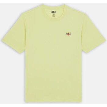 Textil Homem FIVE CM T-Shirts & Vests Dickies MAPLETON TEE SS 0A4XDB-141 PALE GREEN Verde