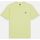 Textil Homem T-shirts e Pólos Dickies MAPLETON TEE SS 0A4XDB-141 PALE GREEN Verde